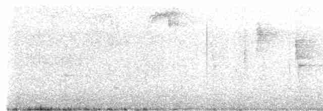 Зелоногрудый фиалкоух - ML619231174