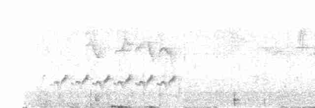 Ляомей смугастокрилий - ML619231287