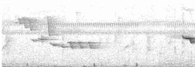 Gri Başlı Kanarya Sinekkapanı - ML619231297
