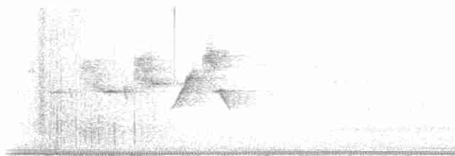 Black-throated Gray Warbler - ML619231353
