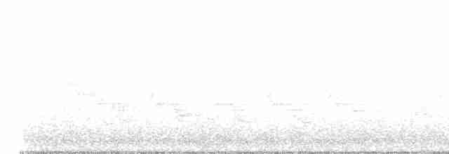 Bicknell Bülbül Ardıcı - ML619232197