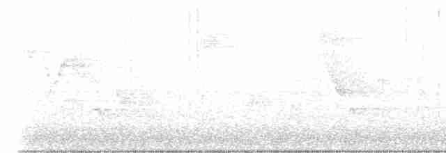 Пестрогорлый соловьиный дрозд - ML619232891