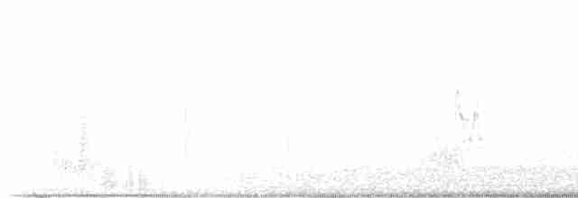 Ширококрылый канюк - ML619232948