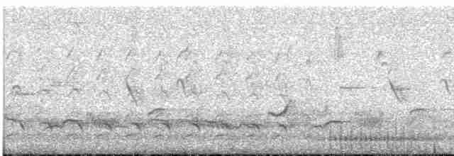 Great Spotted Woodpecker - ML619233092