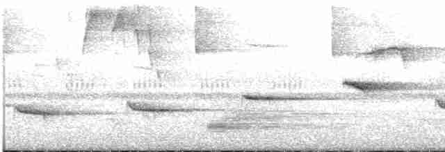 Bülbül Sesli Çıtkuşu - ML619233347