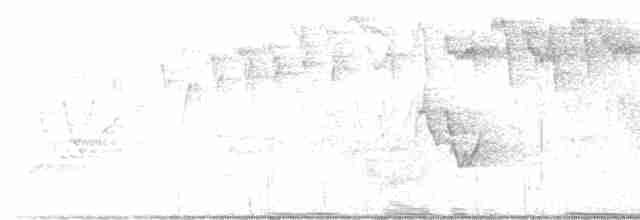 Cerulean Warbler - ML619233688