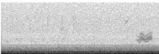 Чернокрылая пиранга - ML619234376