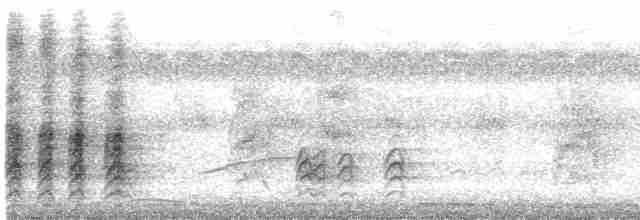 Гигантский крапивник - ML619234406