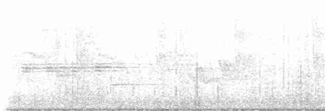 Bicknell Bülbül Ardıcı - ML619234514