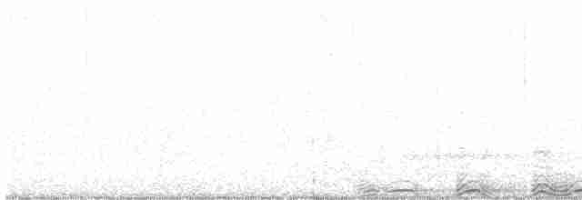 Chouette rayée - ML619235414
