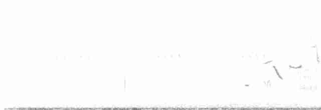 גיבתונית לבנת-גבה - ML619235517
