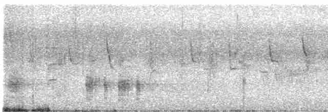 Great Reed Warbler - ML619235673