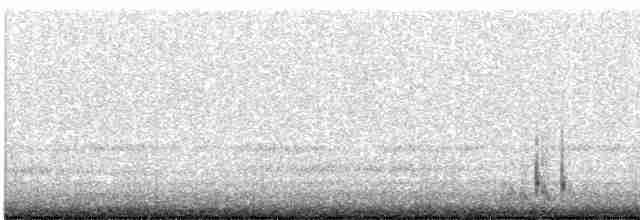 קוקיה שחורת-מקור - ML619236164