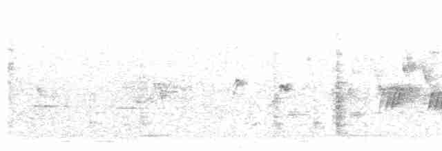 Черногорлая хвойница - ML619236825
