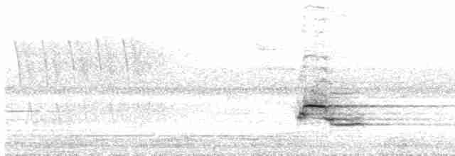 Kuzeyli Benekli Bülbül Ardıcı - ML619236909