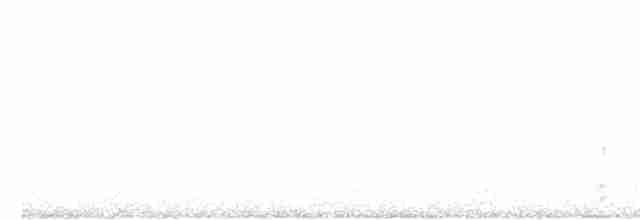 Great Reed Warbler - ML619237321