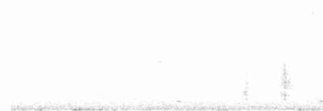 Great Reed Warbler - ML619237339