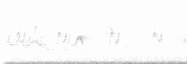 Дрізд-короткодзьоб бурий - ML619237891