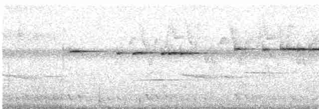 Spotted Elachura - ML619237996
