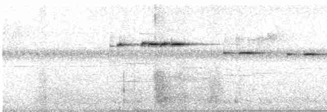 Рихтарик плямистий - ML619238003