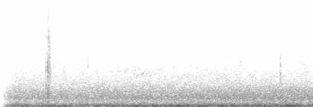 Gray-cheeked Thrush - ML619238371