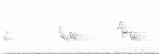 Paruline vermivore - ML619238415