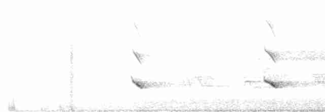 Águila Pescadora - ML619238979