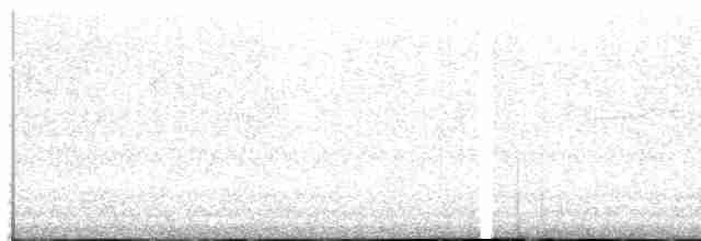 ヨーロッパアマツバメ - ML619239028