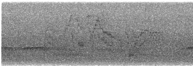 Bicknell Bülbül Ardıcı - ML619239518