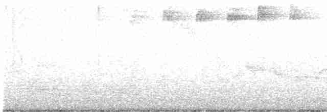 Blackpoll Warbler - ML619239541