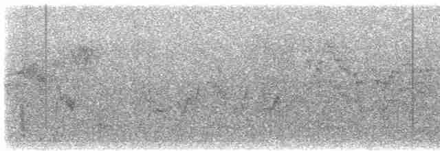 Bicknell Bülbül Ardıcı - ML619239787