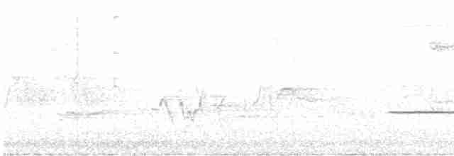 strnadec bělohrdlý - ML619240263