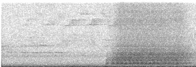 Гіла каролінська - ML619240295