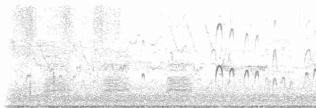 Американский бекасовидный веретенник - ML619240375