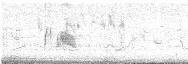 Ивовый мухолов - ML619240714