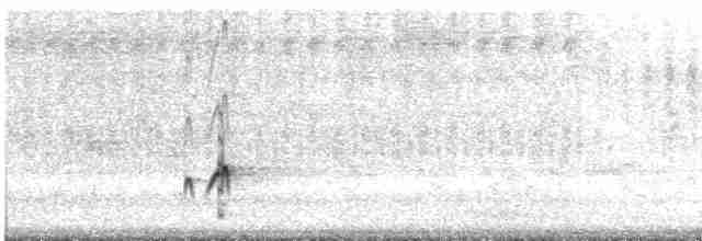 Gri Boğazlı Sinekkapan - ML619240738