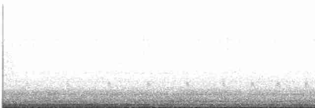 קוקיה צהובת-מקור - ML619240823