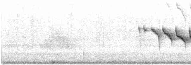Каньонный крапивник - ML619240872