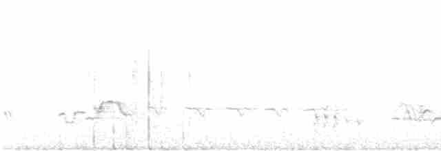 lesníček žlutoprsý - ML619241197