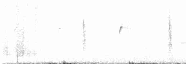 דוחל שחור-גרון - ML619241205