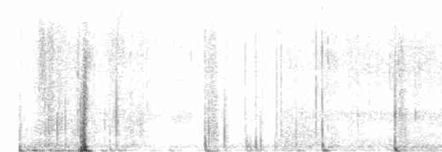 Ивовый мухолов - ML619241291