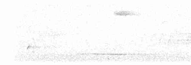 Дрізд-короткодзьоб Cвенсона - ML619241372