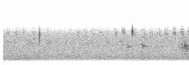 Great Reed Warbler - ML619241523