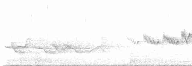 Cerulean Warbler - ML619241573