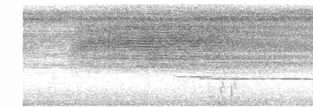 Большая якамара - ML619241707