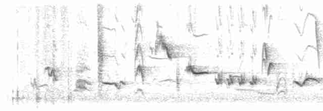 Oriole des vergers - ML619241725