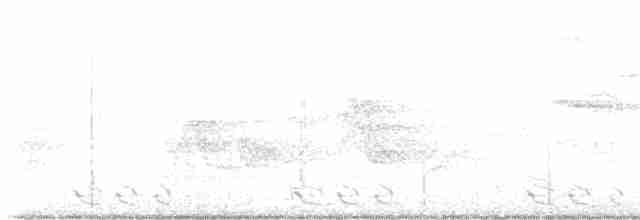 קוקיה שחורת-מקור - ML619242538