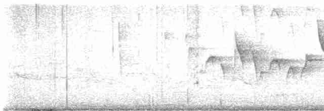 Canada Warbler - ML619242857
