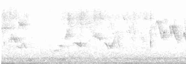 Червоїд сіроголовий - ML619242908