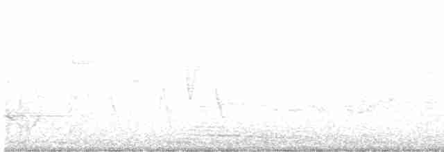Paruline à gorge grise - ML619243360